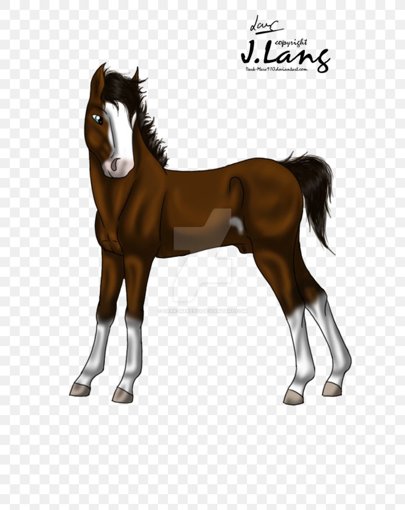 Stallion Foal Halter Mare Colt, PNG, 774x1032px, Stallion, Bridle, Colt, English Riding, Equestrian Download Free