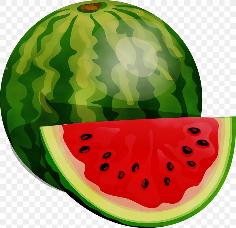 Watermelon Cartoon, PNG, 3000x2900px, Watercolor, Citrullus, Cucumber Gourd  And Melon Family, Diet, Diet Food Download Free