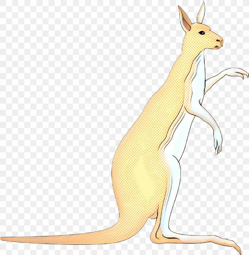 Kangaroo Macropods Hare Carnivores Fauna, PNG, 2936x3000px, Kangaroo, Animal, Animal Figure, Carnivores, Cartoon Download Free