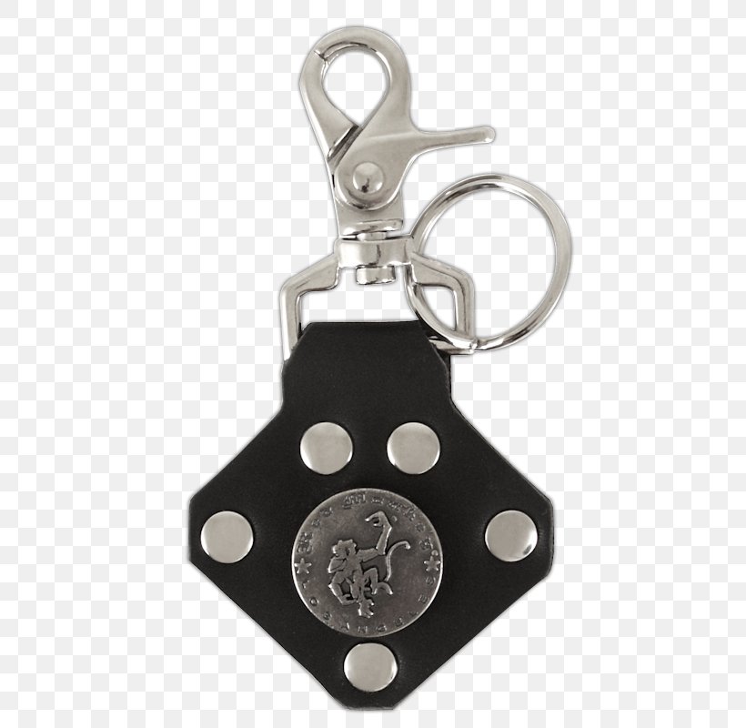 Key Chains Leather, PNG, 480x800px, Key Chains, Badge, Chain, Clothing Accessories, Hardware Download Free