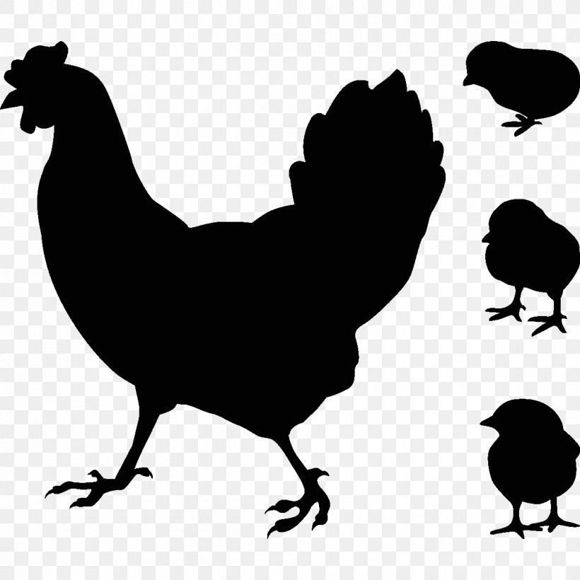 Rooster Chicken As Food Hen Coucou De Rennes, PNG, 1200x1200px, Rooster, Beak, Bird, Black And White, Carrelage Download Free