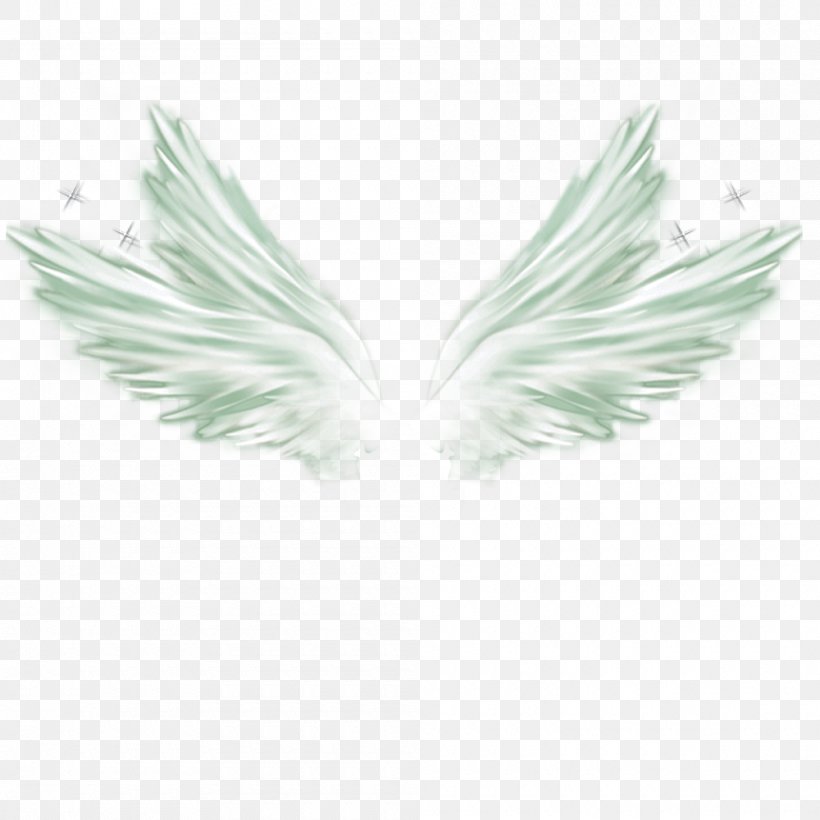 Wing Feather White, PNG, 1000x1000px, Wing, Drawing, Feather, Grass, Green Download Free