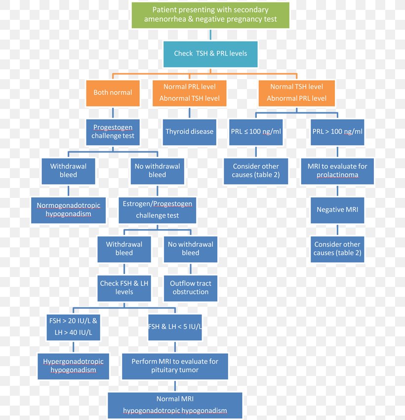 Absence Of Menstruation Disease Traumatic Brain Injury Progestin Challenge Galactorrhea, PNG, 700x849px, Absence Of Menstruation, Area, Brain Tumor, Brand, Craniopharyngioma Download Free