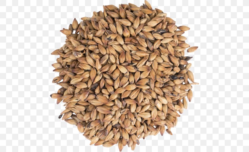 Oat Beer Brewing Grains & Malts Beer Brewing Grains & Malts Cereal, PNG, 500x500px, Oat, Adjuncts, Avena, Barley, Beer Download Free