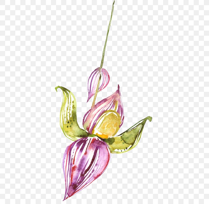 Watercolor Painting Flower, PNG, 426x800px, Watercolor Painting, Flora, Floral Design, Flower, Flowering Plant Download Free