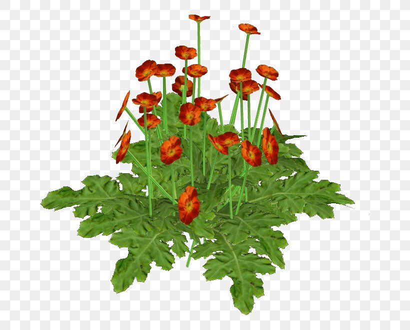 Chrysanthemum Floral Design Cut Flowers Flowerpot, PNG, 659x659px, Watercolor, Cartoon, Flower, Frame, Heart Download Free