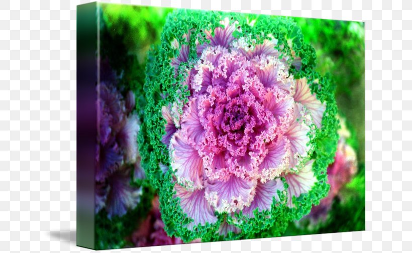 Flower Floral Design Lilac Violet Purple, PNG, 650x504px, Flower, Annual Plant, Floral Design, Flower Arranging, Flowering Plant Download Free