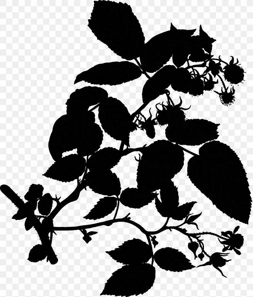 Fruit Clip Art Plants Flower Leaf, PNG, 2042x2400px, Fruit, Apple, Blackandwhite, Blossom, Botany Download Free