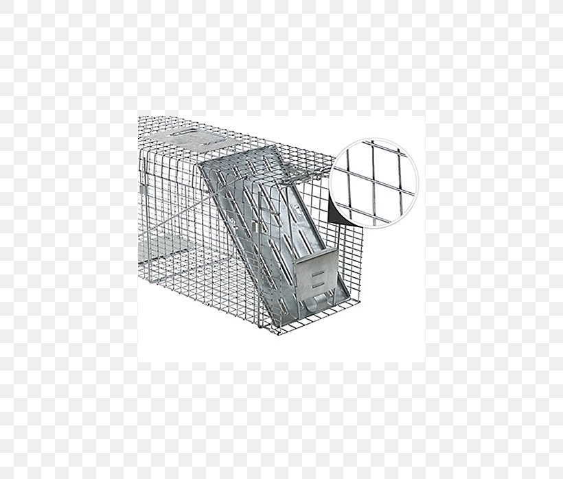 Raccoon Trapping Cage Squirrel, PNG, 698x698px, Raccoon, Animal, Animal Trap, Bathtub, Cage Download Free