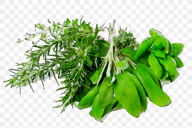 Food Herb Dinner Health Meal, PNG, 1608x1070px, Food, Culantro, Curry Tree, Dinner, Disease Download Free