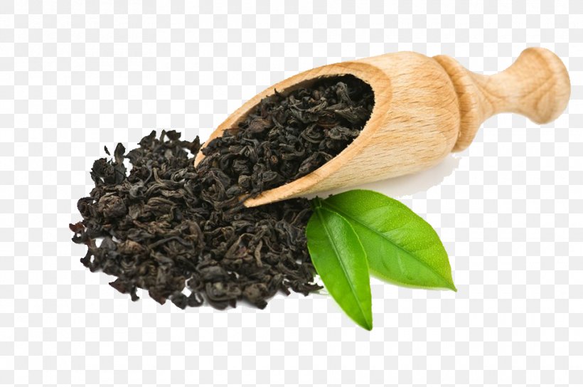 Green Tea Oolong Boston Tea Party Tea Culture, PNG, 960x637px, Tea, Assam Tea, Boston Tea Party, Ceylon Tea, Drink Download Free