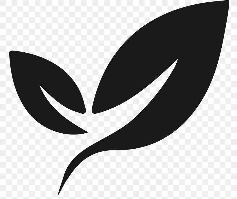 Logo Leaf Drawing Emblem, PNG, 5417x4550px, Logo, Black, Black And White, Brand, Coffee Download Free