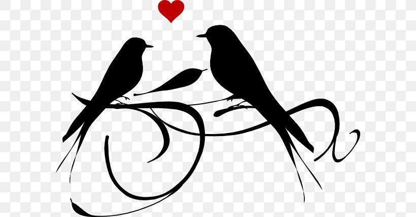 Lovebird Clip Art, PNG, 600x429px, Lovebird, Beak, Bird, Black And White, Branch Download Free