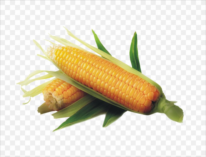 Maize Sweet Corn Corn Kernel Field Corn Vegetable, PNG, 2472x1888px, Maize, Agriculture, Commodity, Corn Kernel, Corn On The Cob Download Free