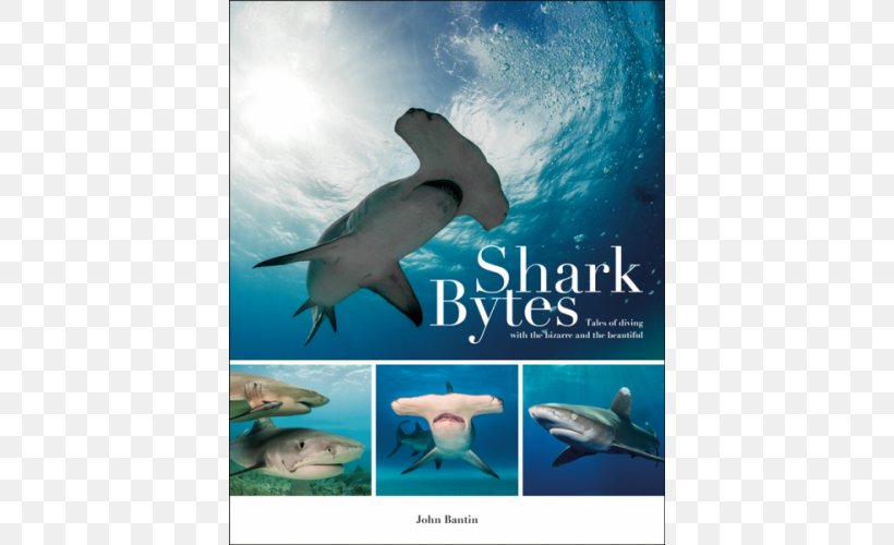 Shark Bytes: Tales Of Diving With The Bizarre And The Beautiful Common Bottlenose Dolphin Amazing Diving Stories: Incredible Tales From Deep Beneath The Sea Wholphin, PNG, 500x500px, Common Bottlenose Dolphin, Advertising, Animal, Aqua, Book Download Free