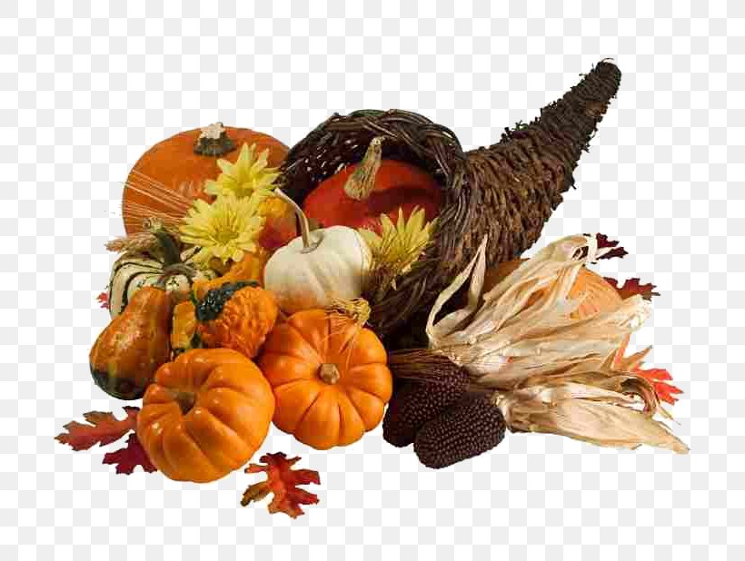 Thanksgiving Day Public Holiday Plymouth, PNG, 777x618px, Thanksgiving, Calabaza, Cornucopia, Cucurbita, Flower Download Free