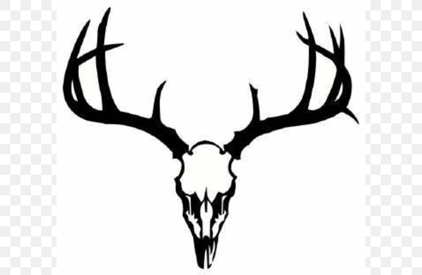 White-tailed Deer Tattoo Skull Clip Art, PNG, 600x535px, Deer, Antler, Art, Black And White, Body Art Download Free