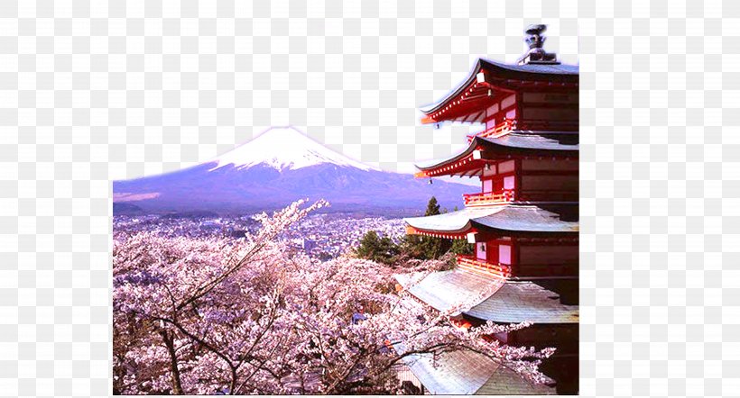 Yamanashi Kinkaku-ji Matsumoto Tokyo Arakurayama Sengen Park, PNG, 5906x3189px, Yamanashi, Brand, Cherry Blossom, Cool Japan, Culture Of Japan Download Free
