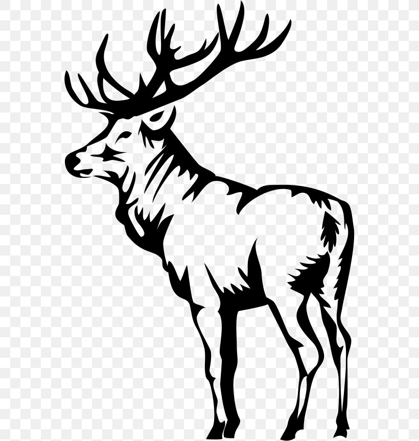 Elk Deer Clip Art, PNG, 568x863px, Elk, Antler, Black And White, Deer, Digital Image Download Free