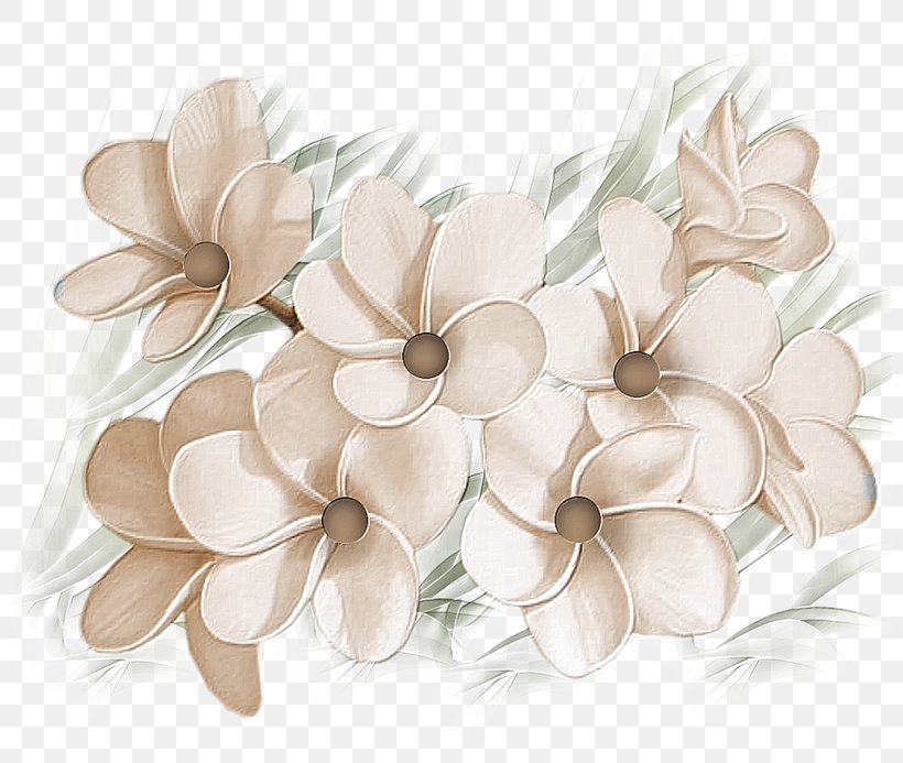 Flower, PNG, 800x693px, Flower, Color, Colored Pencil, Cut Flowers, Flowering Plant Download Free