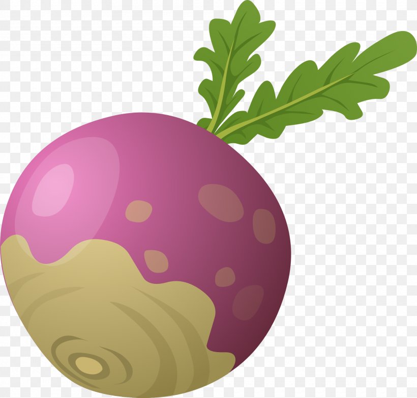 The Gigantic Turnip Vegetable Clip Art, PNG, 1920x1831px, Gigantic Turnip, Beetroot, Blog, Drawing, Food Download Free