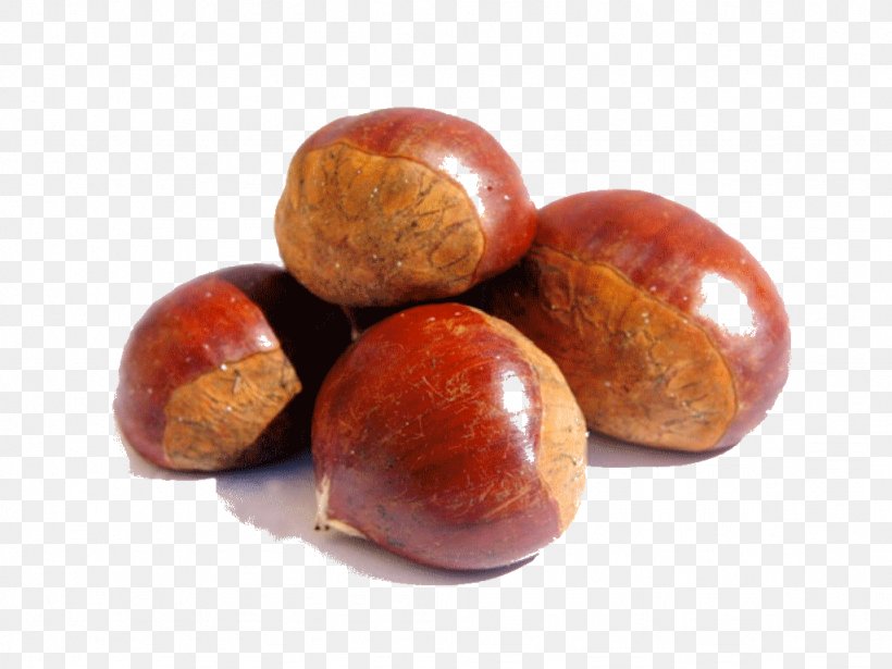 Chinese Chestnut Dried Fruit Food American Chestnut Boletus, PNG, 1024x768px, Chinese Chestnut, American Chestnut, Apple, Boletus, Chestnut Download Free