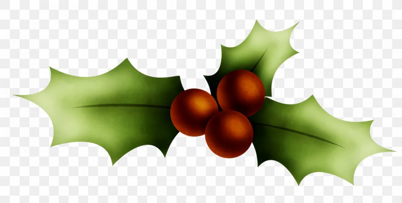 Christmas Holly Ilex Holly, PNG, 1300x658px, Christmas Holly, American Holly, Christmas, Flower, Holly Download Free