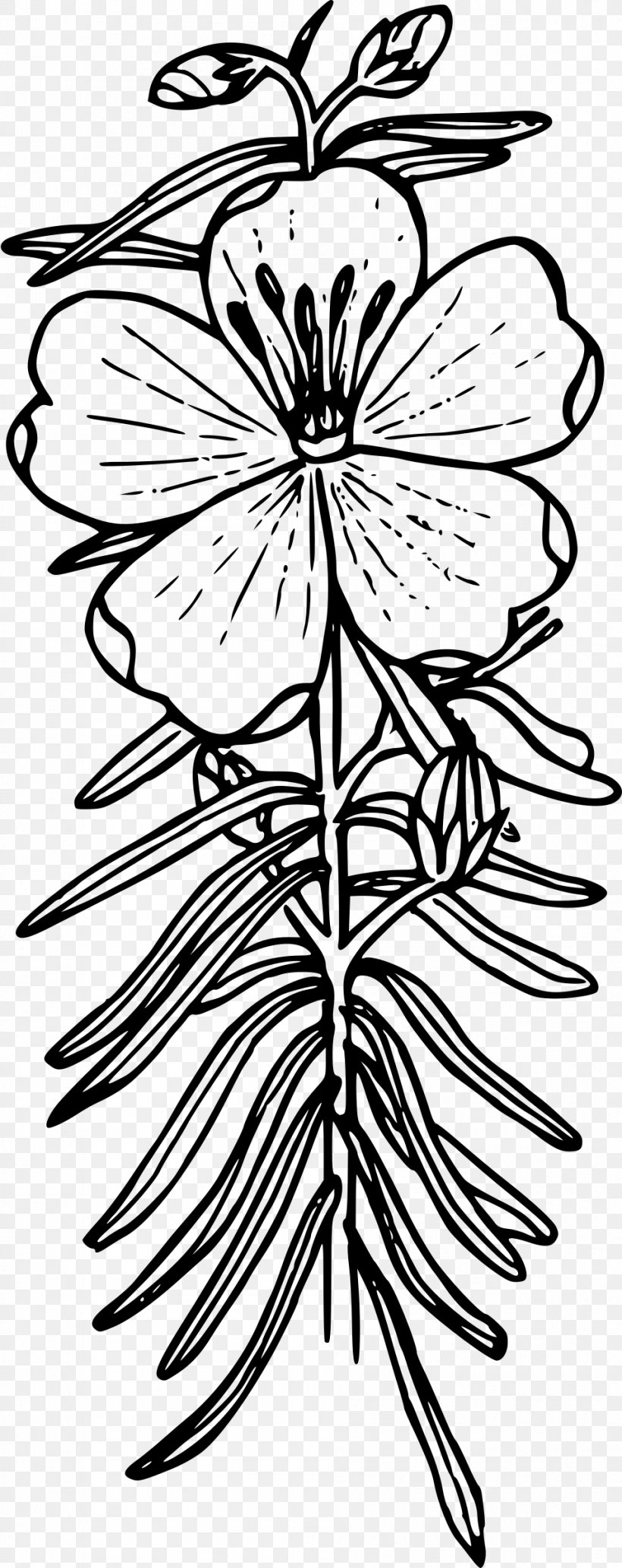 Drawing Line Art Coloring Book, PNG, 952x2400px, Drawing, Artwork, Black, Black And White, Branch Download Free