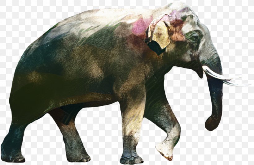 African Bush Elephant Indian Elephant Image, PNG, 1024x668px, African Bush Elephant, African Elephant, African Forest Elephant, Animal Figure, Asian Elephant Download Free