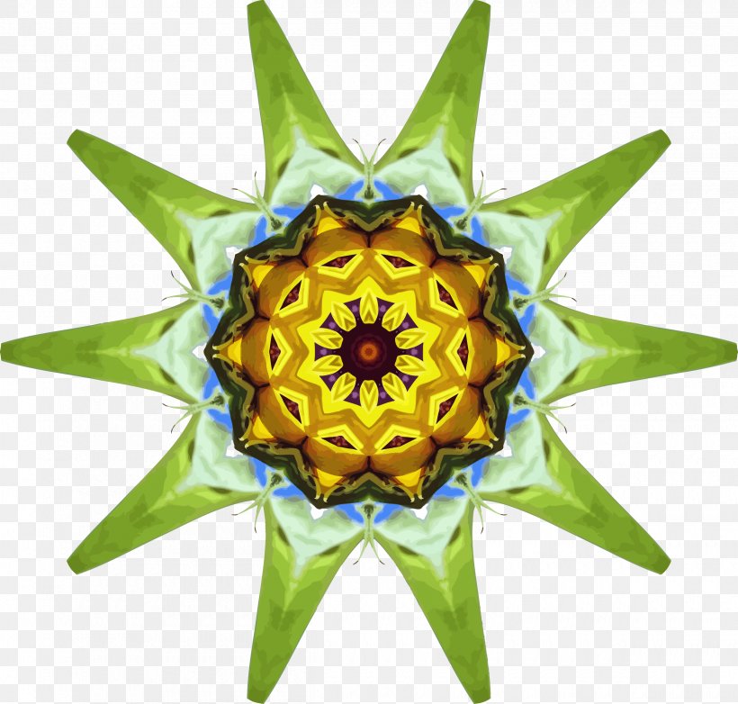 Kaleidoscope Common Sunflower Drawing, PNG, 2400x2291px, Kaleidoscope, Color, Common Sunflower, Drawing, Flower Download Free