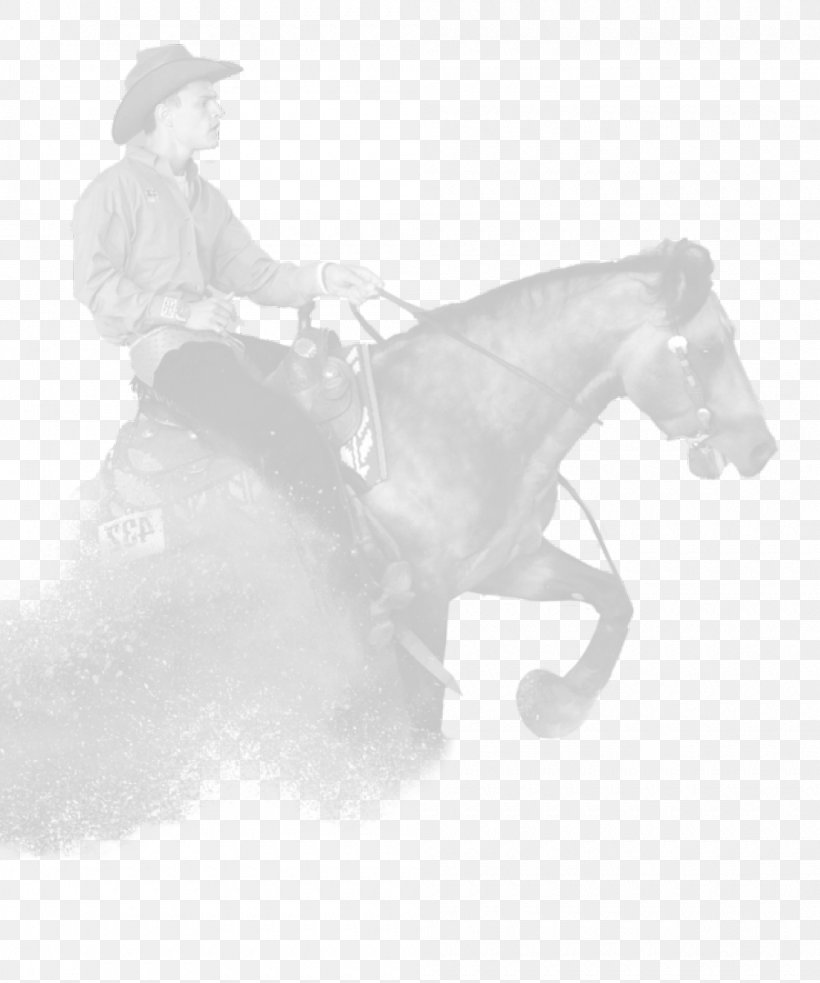 Rein Mustang Mane Stallion Halter, PNG, 1000x1200px, Rein, Black And White, Bridle, Halter, Horse Download Free