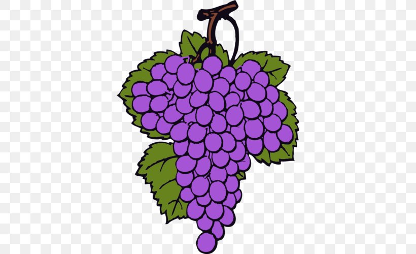 Common Grape Vine Wine Clip Art, PNG, 500x500px, Common Grape Vine, Computer, Flora, Floral Design, Flower Download Free