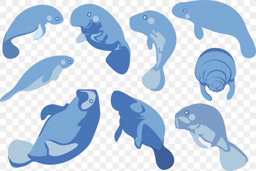 Dolphin Sea Cows Clip Art, PNG, 5532x3694px, Dolphin, Area, Blue, Cartoon, Fauna Download Free