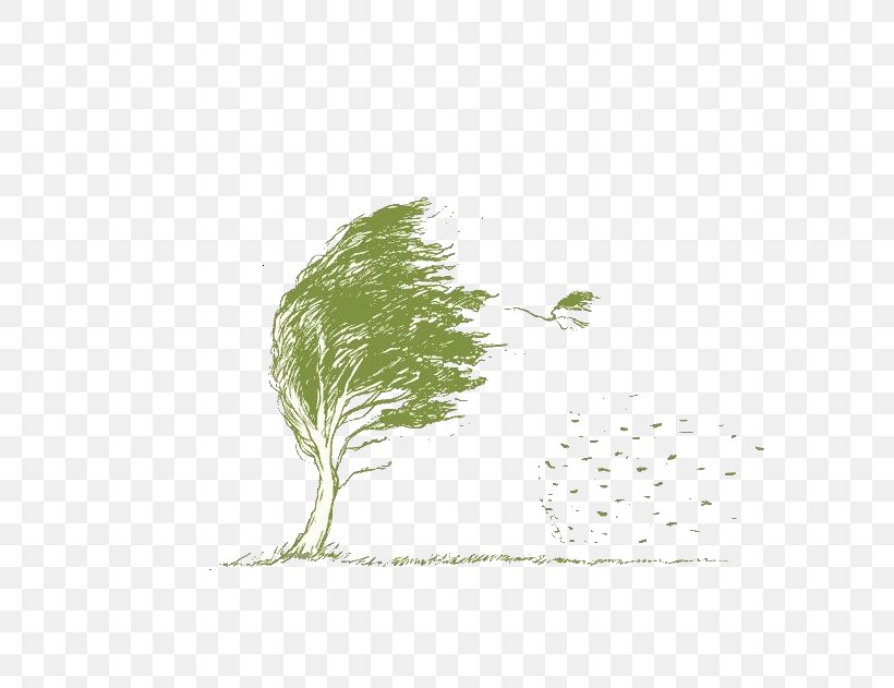 Leaf Branch Wind Tree, PNG, 789x631px, Leaf, Branch, Data, Data Compression, Download E Upload Download Free