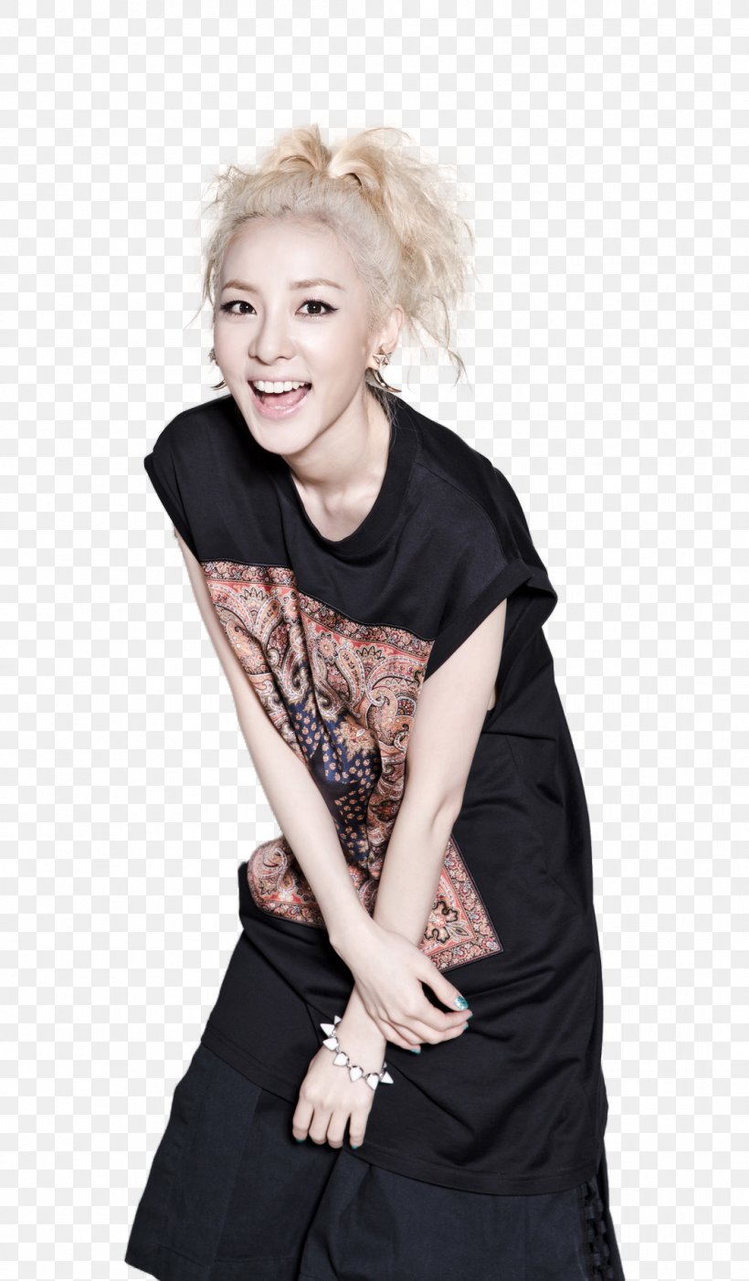 Sandara Park 2NE1 K-pop Female Photography, PNG, 1058x1810px, Watercolor, Cartoon, Flower, Frame, Heart Download Free