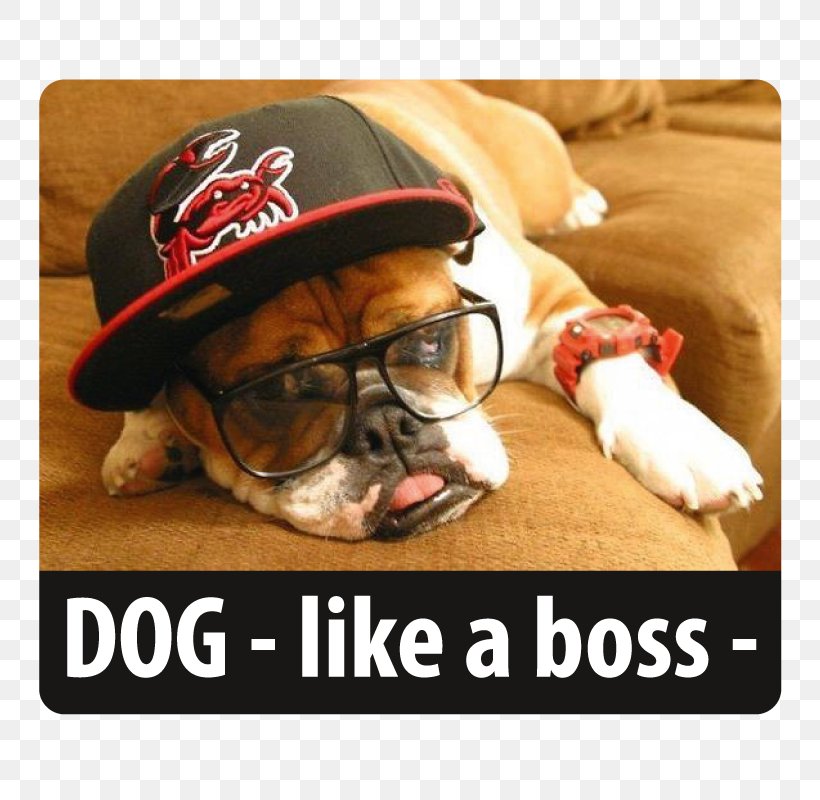 Bulldog Pug Puppy Hipster Puppies Pet, PNG, 800x800px, Bulldog, Animal, Brand, Canidae, Carnivoran Download Free
