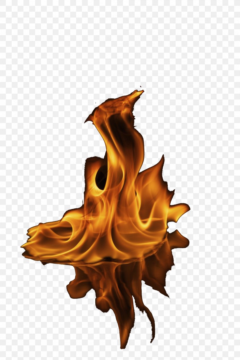 Flame Problems In Thermodynamics And Statistical Physics, PNG, 2185x3278px, Flame, Color, Combustion, Computer Software, Fire Download Free