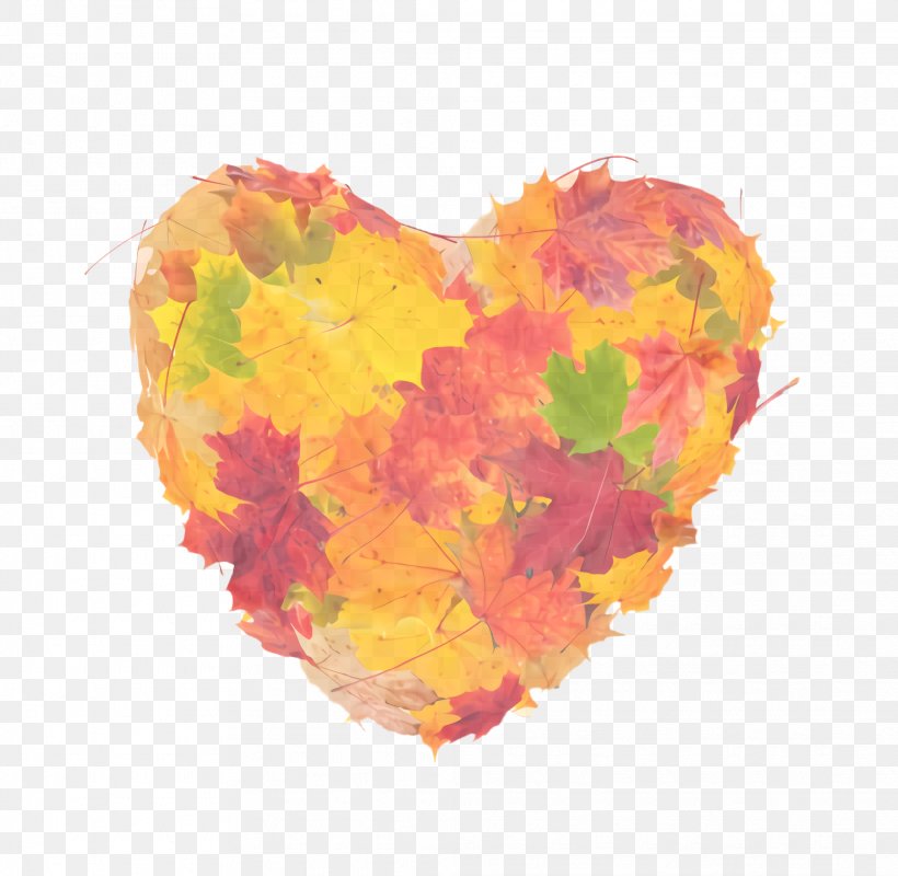 Orange, PNG, 2024x1976px, Yellow, Heart, Leaf, Love, Orange Download Free