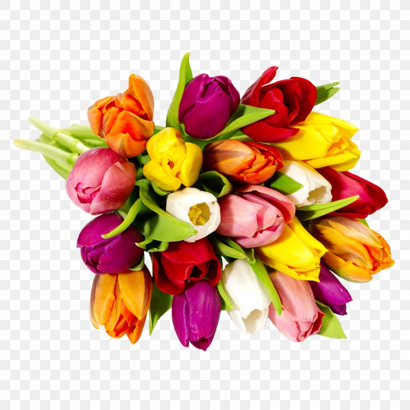 Tulip Floral Design Cut Flowers Flower Bouquet, PNG, 1800x1800px, Tulip, Alstroemeriaceae, Cut Flowers, Floral Design, Floristry Download Free