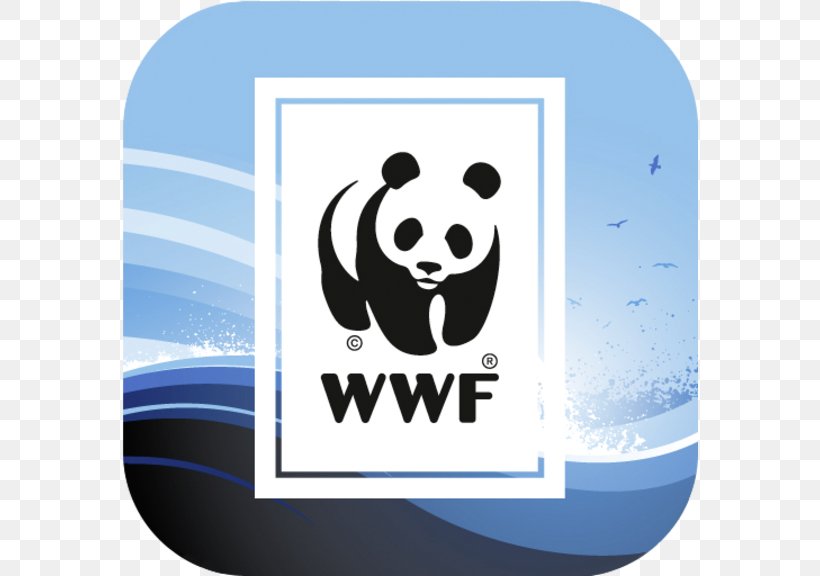 World Wide Fund For Nature Conservation World Wildlife Fund, Inc. Natural Environment Organization, PNG, 576x576px, World Wide Fund For Nature, Bear, Brand, Conservation, Environmental Protection Download Free