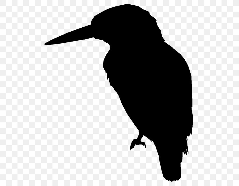 Bird Silhouette, PNG, 543x640px, Silhouette, Beak, Bird, Common Kingfisher, Coraciiformes Download Free