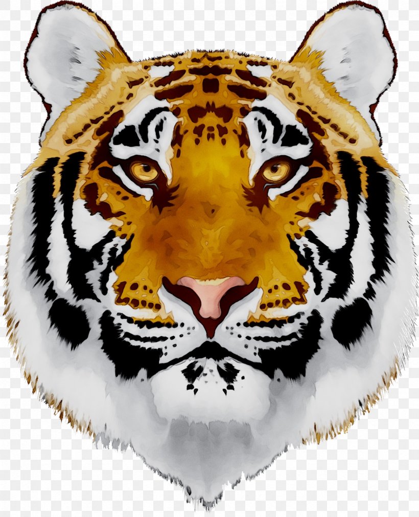 Cat Lion Vector Graphics Image Bengal Tiger, PNG, 1178x1455px, Cat, Animal Figure, Bengal Tiger, Big Cats, Carnivore Download Free