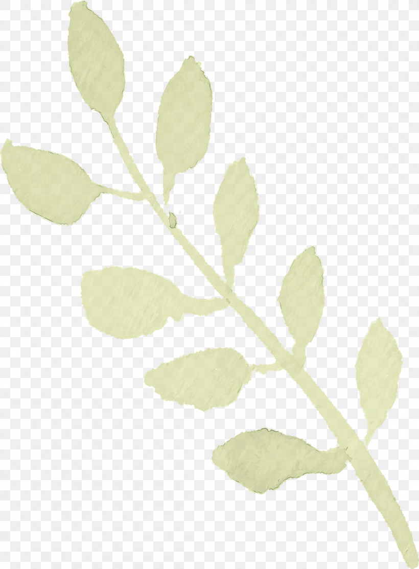 Leaf Flower Twig Branch Plant, PNG, 2207x3000px, Watercolor Leaf, Branch, Bud, Flower, Leaf Download Free