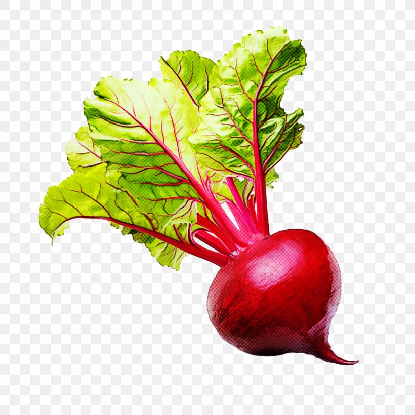 Radish Beet Beetroot Vegetable Beet Greens, PNG, 900x900px, Radish, Beet, Beet Greens, Beetroot, Chard Download Free