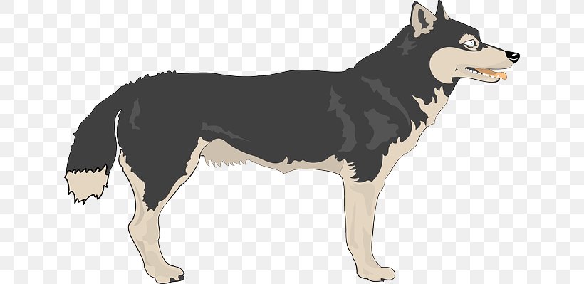 Arctic Wolf Mackenzie Valley Wolf Clip Art, PNG, 640x399px, Arctic Wolf, Carnivoran, Dog, Dog Breed, Dog Breed Group Download Free