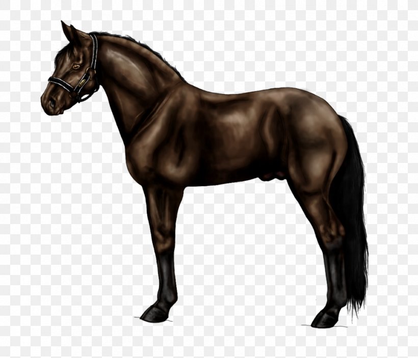 Dartmoor Pony Foal Mare Shetland Pony, PNG, 965x828px, Dartmoor Pony, Animal, Bay, Black, Breyer Animal Creations Download Free