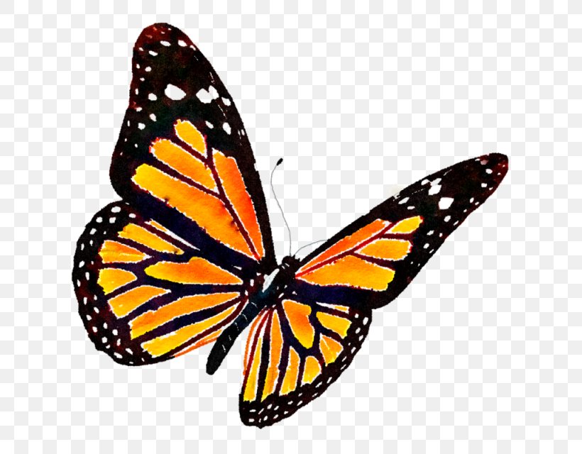 Monarch Butterfly Clip Art, PNG, 640x640px, Butterfly, Arthropod, Brush Footed Butterfly, Butterflies And Moths, Greta Oto Download Free
