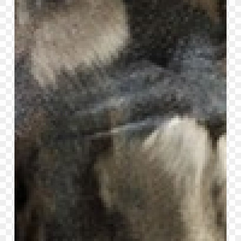 Old World Monkeys Dog Breed Marsupial Fauna, PNG, 1200x1200px, Old World Monkeys, Closeup, Dog, Dog Breed, Dog Breed Group Download Free