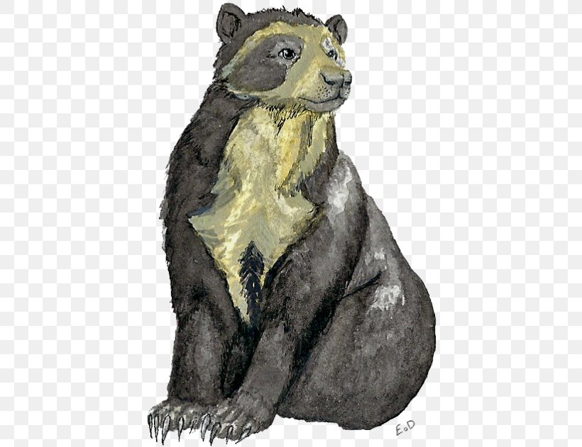 Rodent Mustelids Procyonidae Marmot Carnivora, PNG, 500x631px, Rodent, Animal, Bear, Carnivora, Carnivoran Download Free