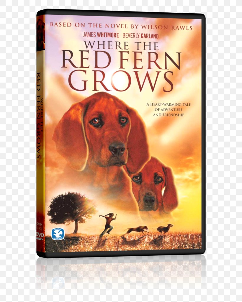 Where The Red Fern Grows Book Novel Children's Literature, PNG, 632x1024px, Where The Red Fern Grows, Advertising, Book, Book Report, Chapter Download Free